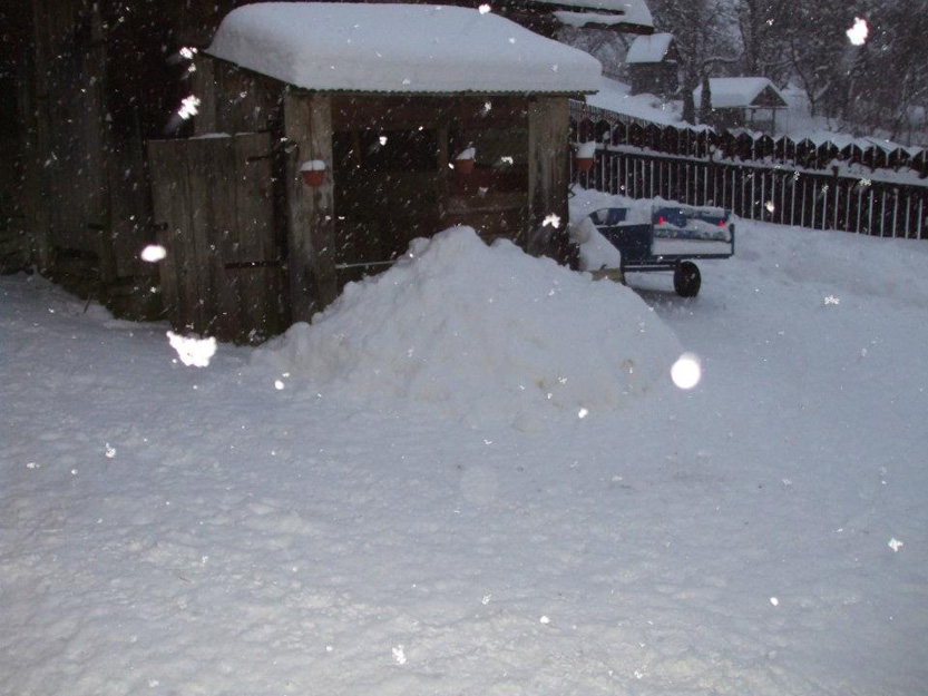 Winter2012Peter KundrÃ¡t (2)